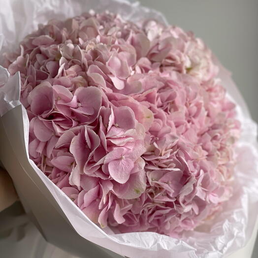 For Princess