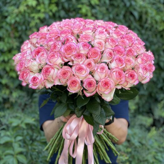 101 pink rose