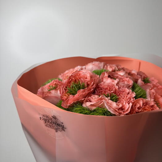 Houdini Roses