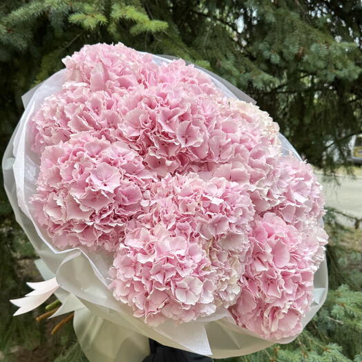 Bouquet of Pink Hydrangea 💞