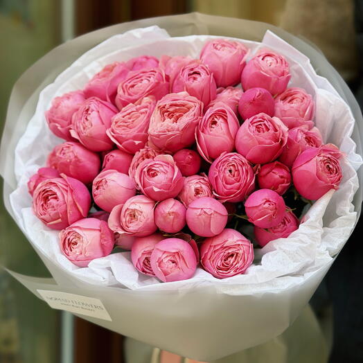 💗 Peony Dream
