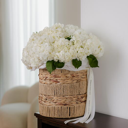 Clouds Basket