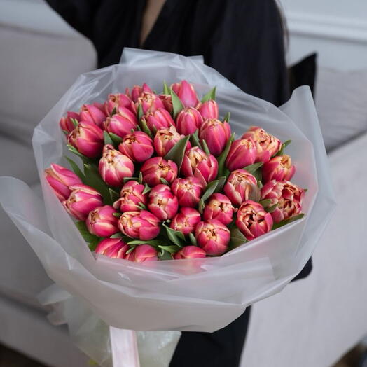 Tulip 25