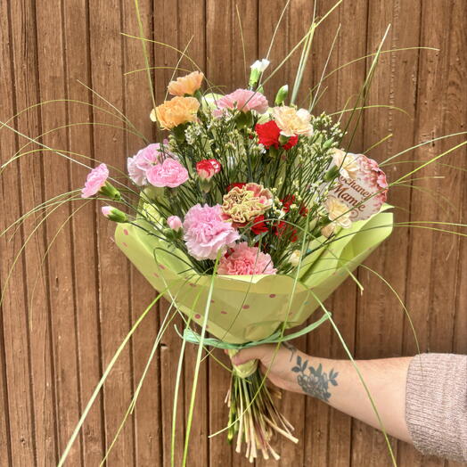 16 colorful carnations