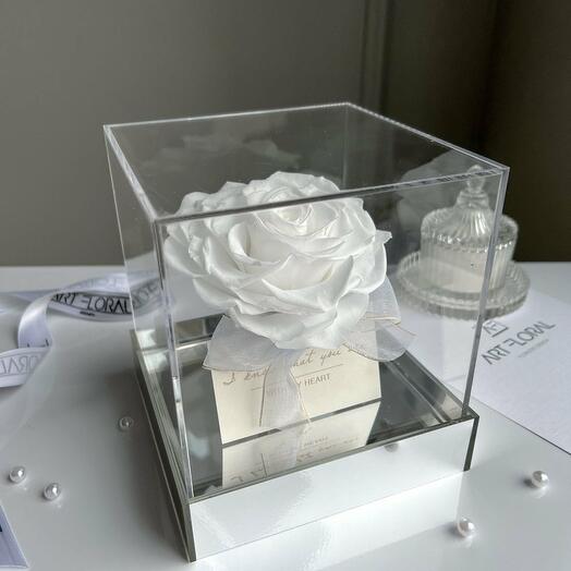 White Infinity Heart Rose in an Acrylic Cube