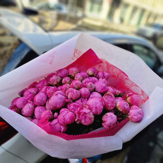 Peonies 51