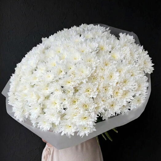 🤍 45 Chrysanthemums / 45 Chrysanthemum Stems