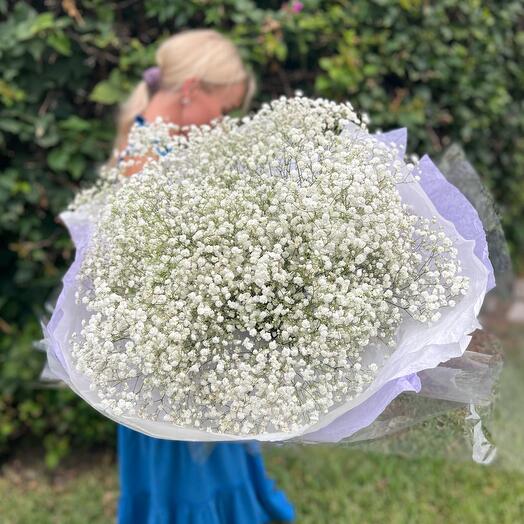 Baby breath