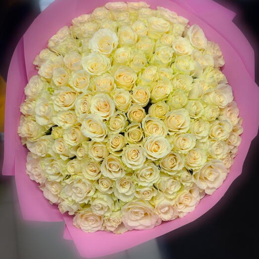 White rose