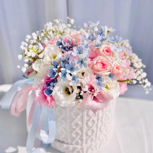 Pastel Box