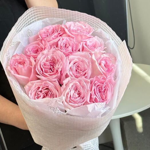 O Hara roses, 12