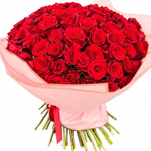 51 Red Ecuador roses
