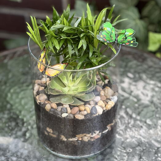 Florum – Tropical Harmony