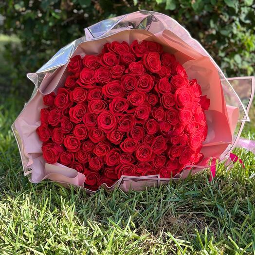 100 Nina roses