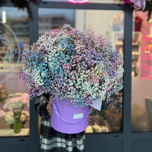 Big Gypsophila box