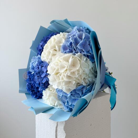 Blue and white hydrangeas