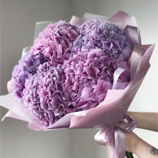 5 purple hydrangea