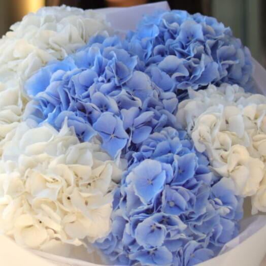 Monobouquet of hydrangeas