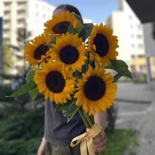 Sunny🌻