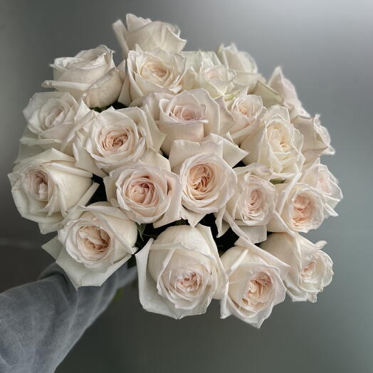 Sweet O Hara Dream