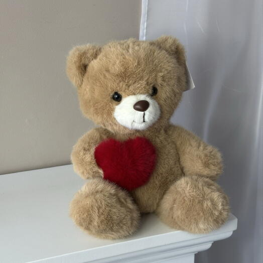 Teddy bear with a heart