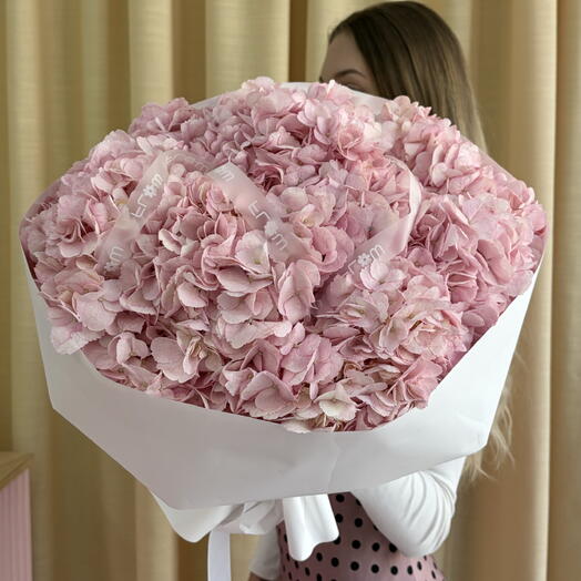Hydrengea Pink
