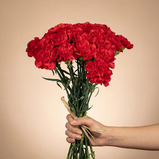 Bouquet of Red Carnations - 25 stems