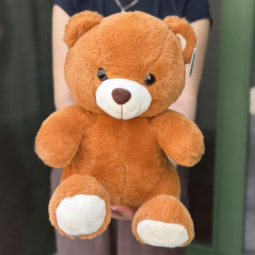 🧸 Big Teddy Bear