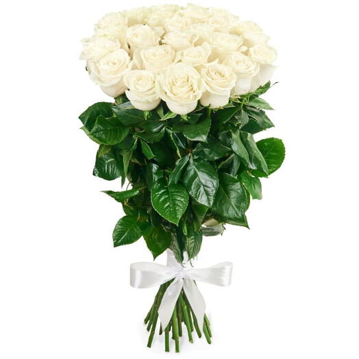 WHITE ROSES