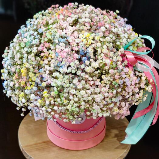 Gypsophila flowers in a box