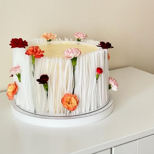 Cake Wave size S