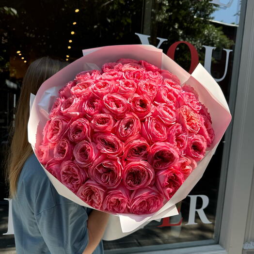 51 Pink Expression Garden Roses