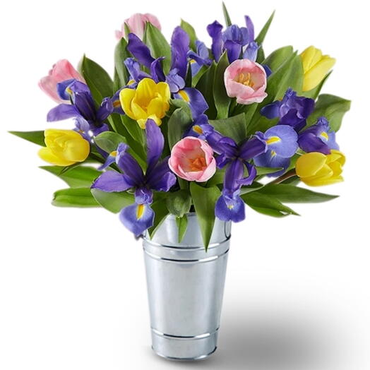 Tender Tulips
