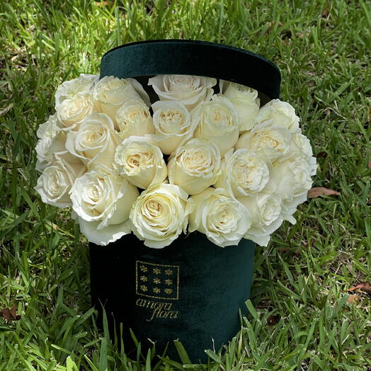Ivory Premium roses box - small