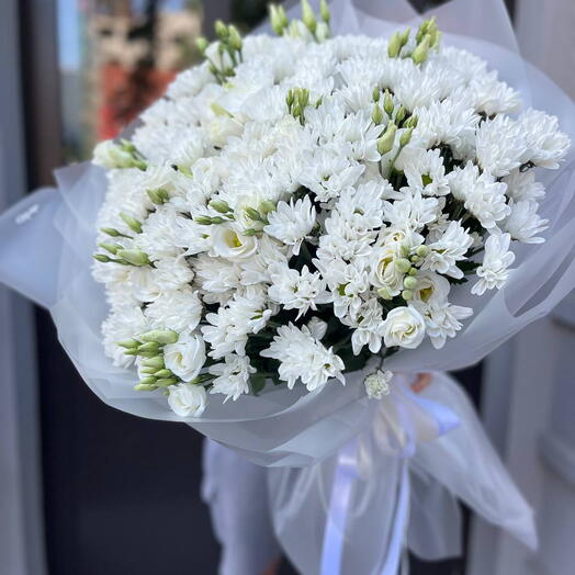 White Elegance