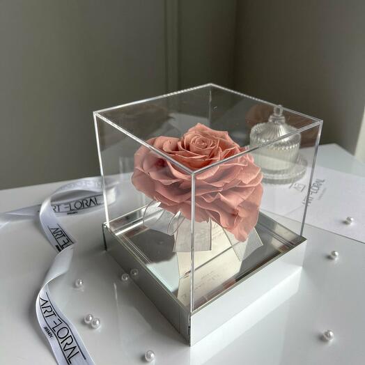 Pink infinity heart rose in an acrylic cube