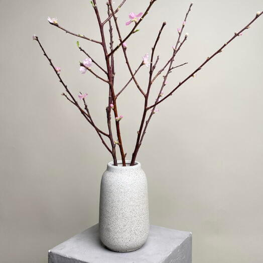Vase 13/24