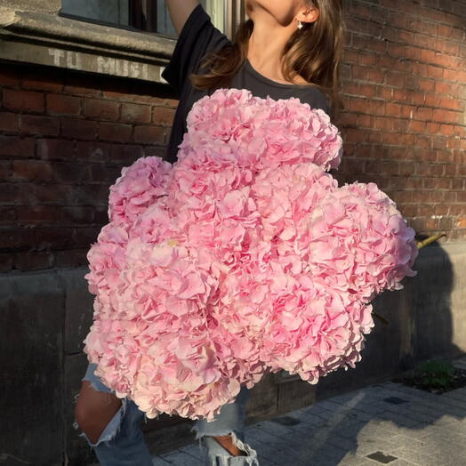 Hydrangea Pink 9