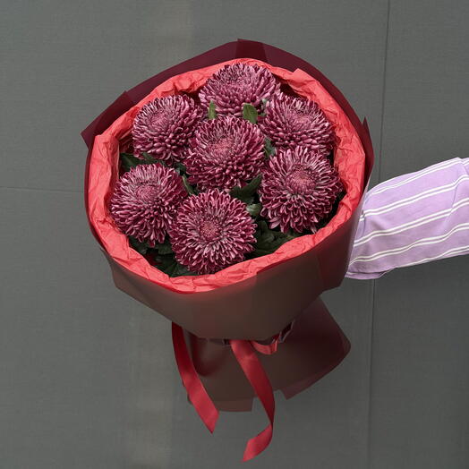 Chrysanthemum 7