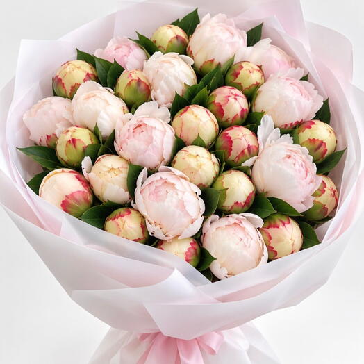 25 peony