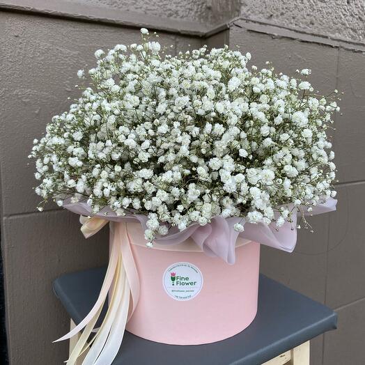 Flowerbox with gipsophila