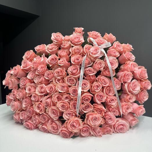 101 rose