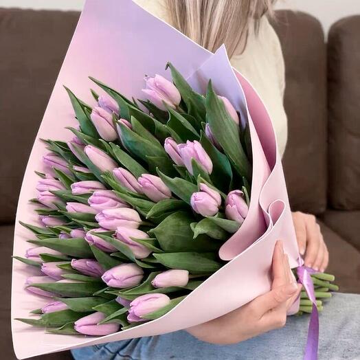 Pink Tulips (45pic)