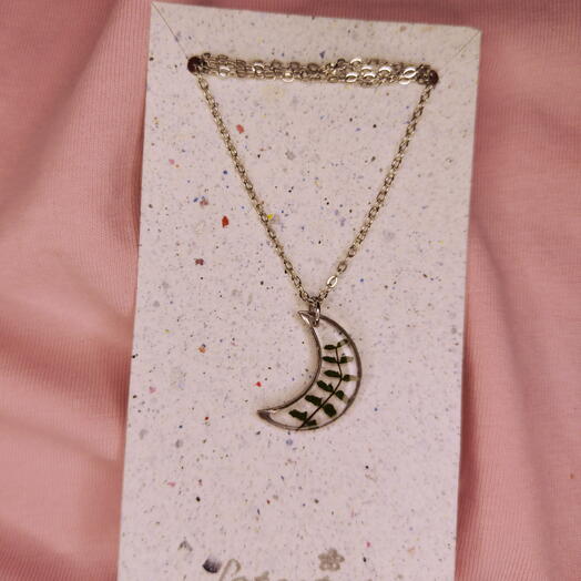 Transparent moon-shaped pendant with a real plant