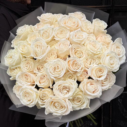 Roses 51 White