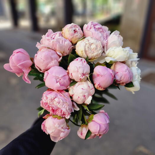 50 Mix peonies Wow