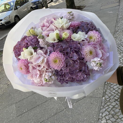 lilac-pink hydrangeas