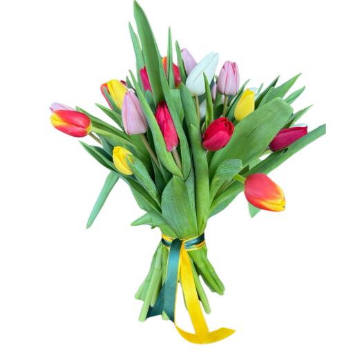 Mix of tulips 25 pcs