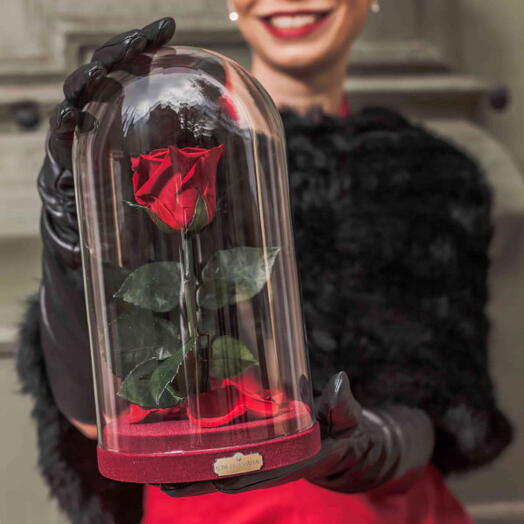 Real eternal rose in glass