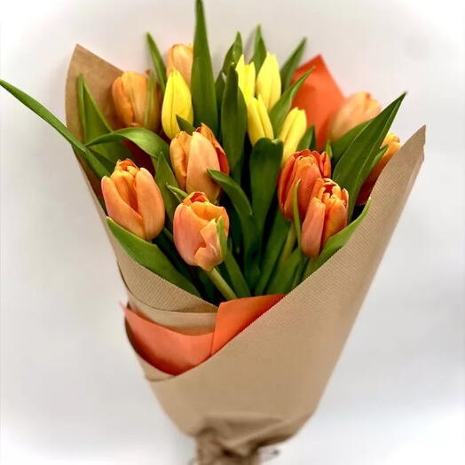 Tulip Rhapsody
